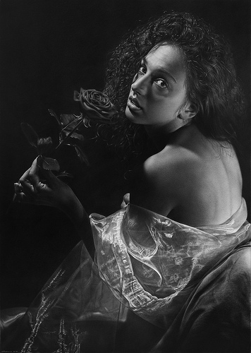 Rosa Rutila - The Complete Online Drawing Course by Cindy Wider