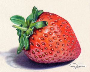 strawberry-coloured-pencil-cindy-wider-small