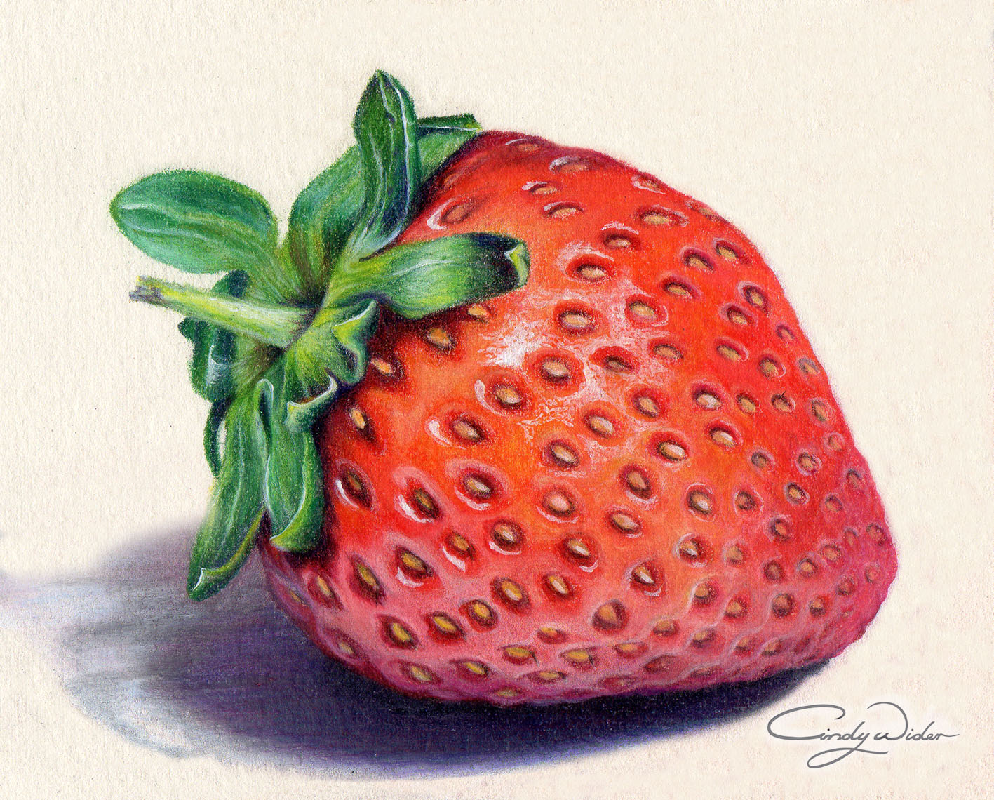 The Joy Of Colour Pencils The Complete Online Drawing Course By Cindy Wider