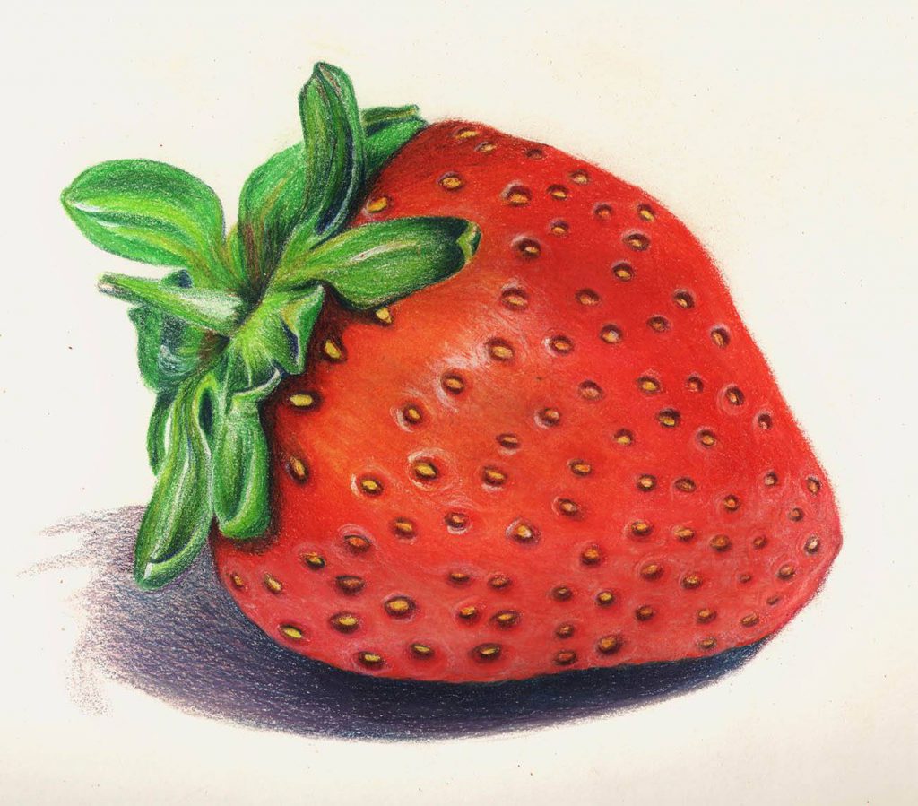 'Luscious Strawberry' by Maria Paula Rodriguez Chona