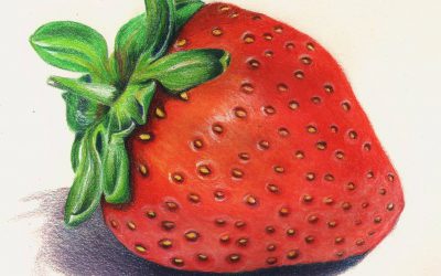 ‘Luscious Strawberry’ by Maria Paula Rodriguez Chona