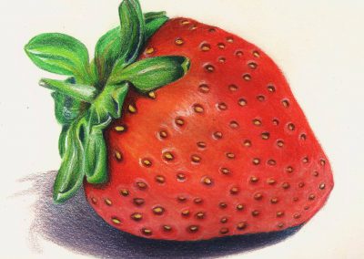 'Luscious Strawberry' by Maria Paula Rodriguez Chona