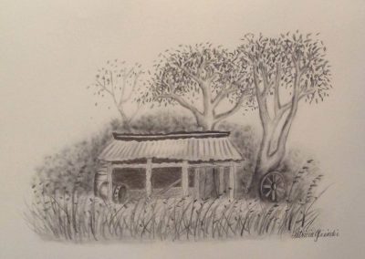 'The Old Hay Shed' by Patricia Gliniecki