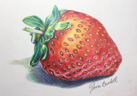 Coloured pencil drawing of a juicy strawberry