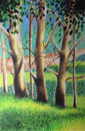 Trees rendered in coloured pencil