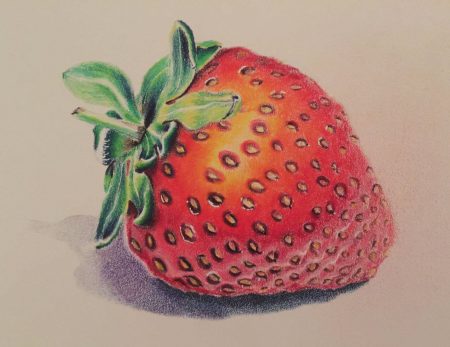 Coloured Pencil Drawing of a Juicy Strawberry