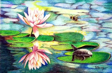Coloured pencil drawing of a turtle on a lillypad with a bee above
