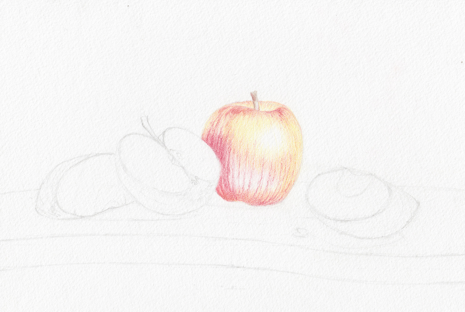 Coloured Pencil Drawing Project - Autumn Apples by Cindy Wider