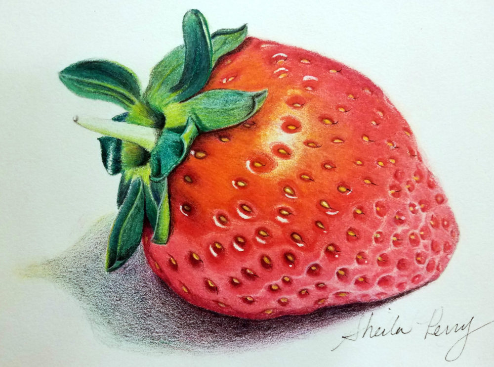 strawberry color pencil drawing