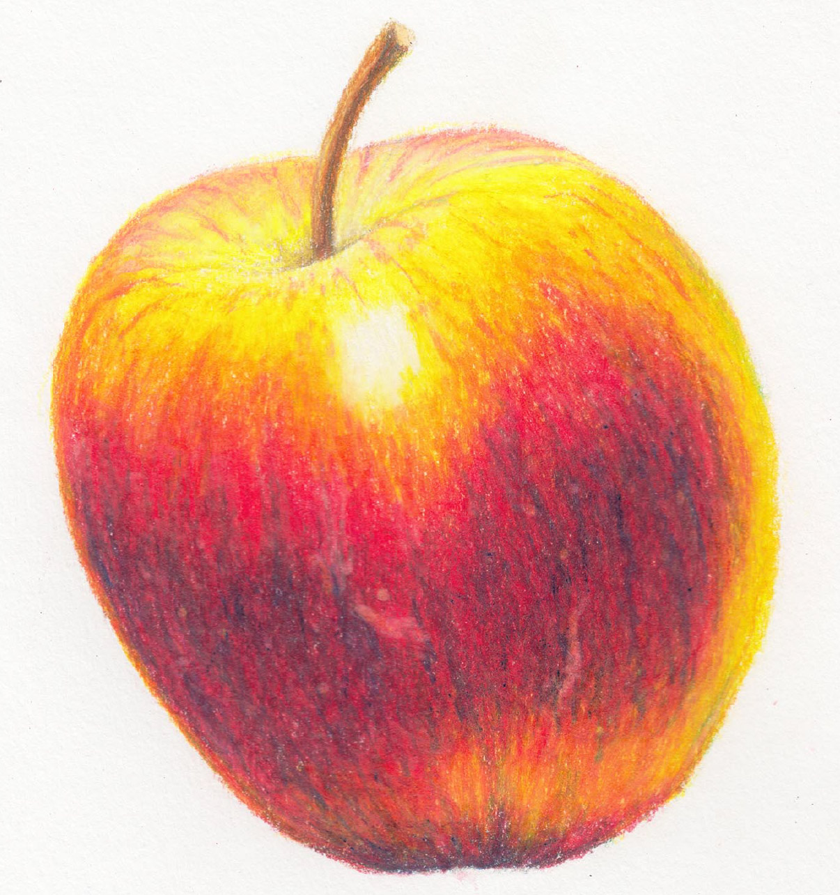 Apple Color Pencil Drawing