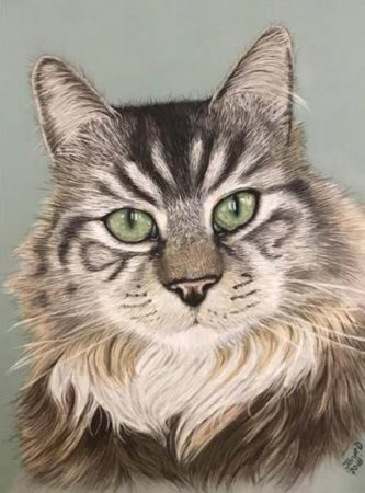 Janet Daniel - Cat Portrait