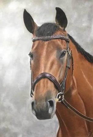 Janet Daniel - Horse Portrait