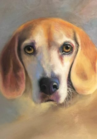 Tanner the Beagle by Scott Kunkle