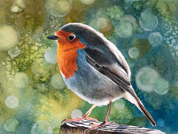 English Robin painting from photo by Terence Porter