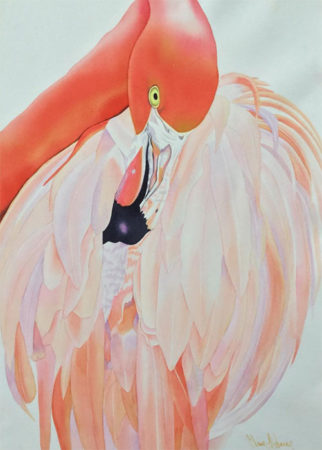 Fifty Shades of Flamingo by Claire Osborne from photo by Cindy Fry