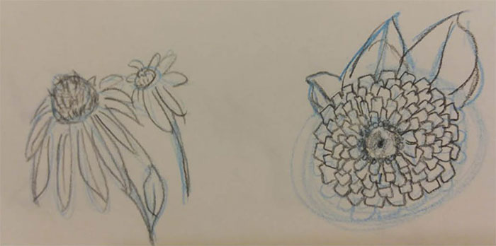 Botanical Drawing by Tracie Walters before learning to draw with DrawPj.com