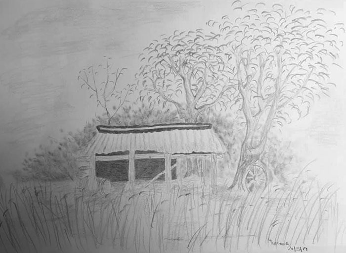Old Hay Shed Drawing by Theresa Everard