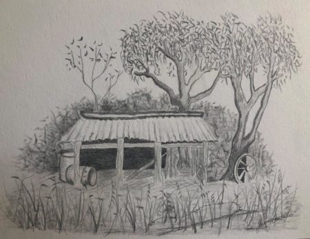 Pencil drawing landscape by Jenney Costello