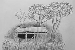 Lots of Lovely Hay Shed Landscape Drawings