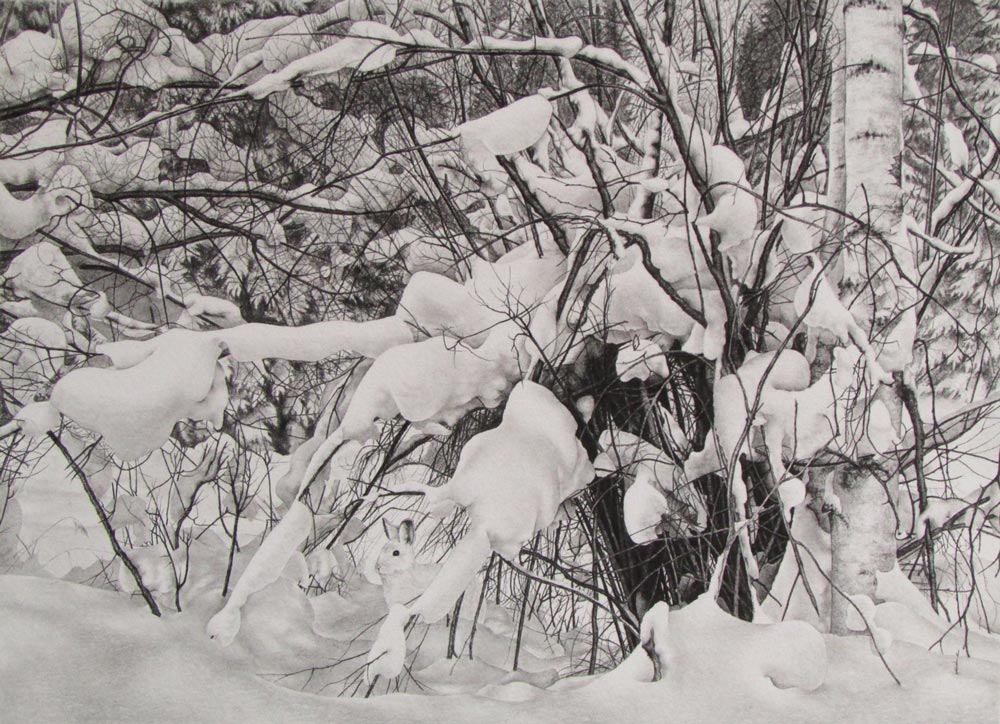 Snowy Landscape Pencil Drawing by Noah Nolywaika
