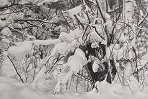A Spectacular Snowy Landscape Drawing