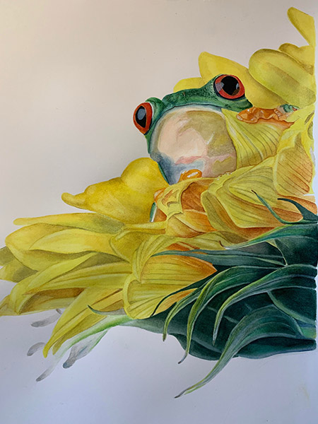 Sunflower Frog
