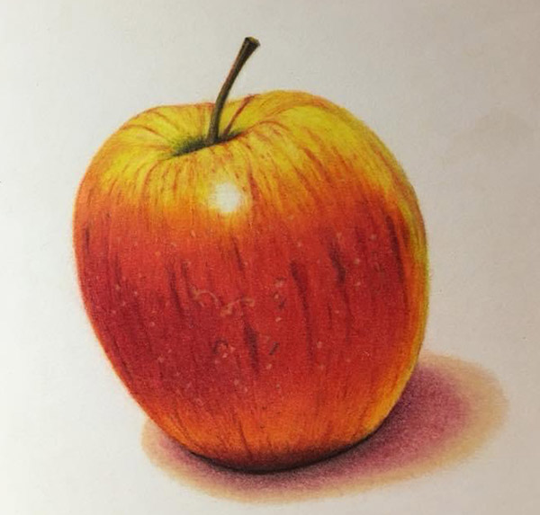 Apple drawing by Susanne Norling