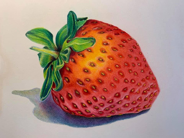 strawberry drawing by Susanne Norling