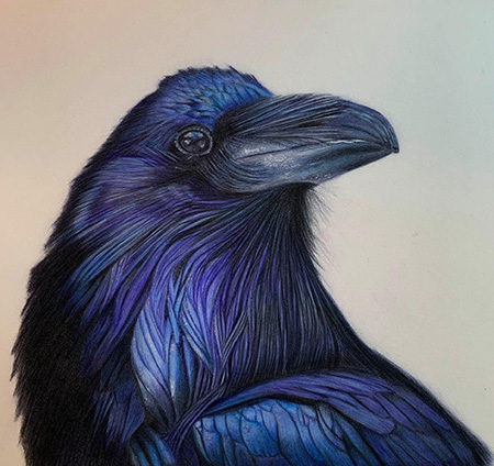 Raven by Susanne Norling