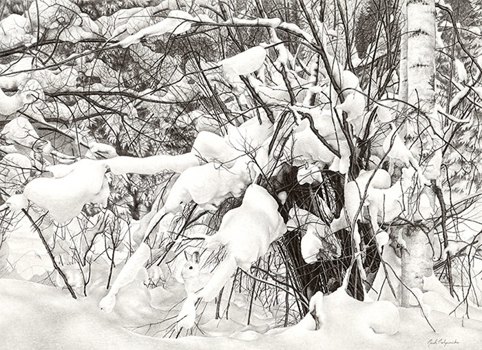 drawing of trees and snow titled Inconspicuous