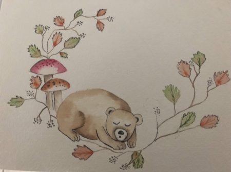 dozing bear by colleen cooke
