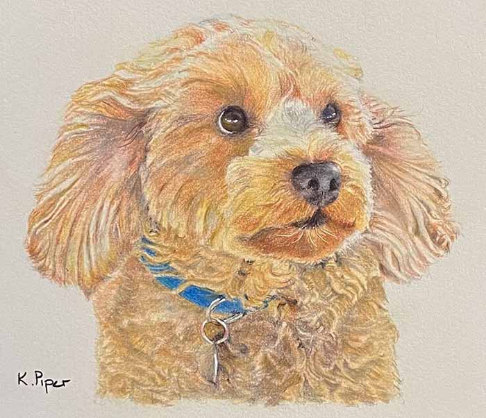 Wags the Cavoodle by Karen Piper