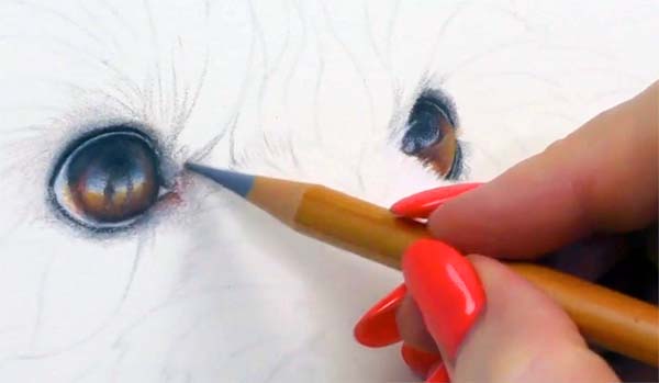 Coloring a dog's eye