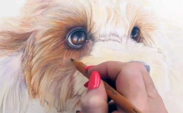 Coloring Dogs Fur